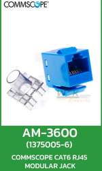 AM-3600 (137055-6) AMP CAT6 RJ45 Modular Jack (ตัวเมีย) 0